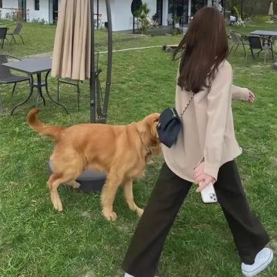 柏林艳史